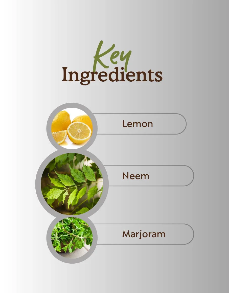 Face & Body Exfoliator - Image 3