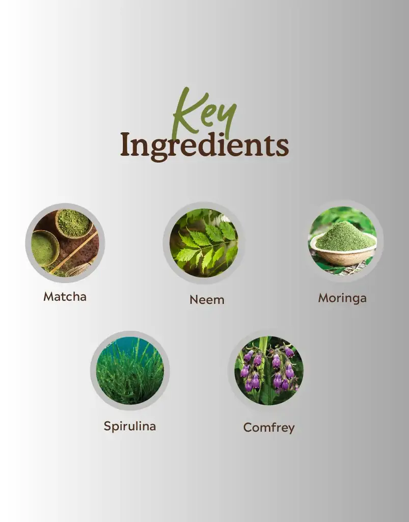 Spirulina Matcha Face Pack - Image 4